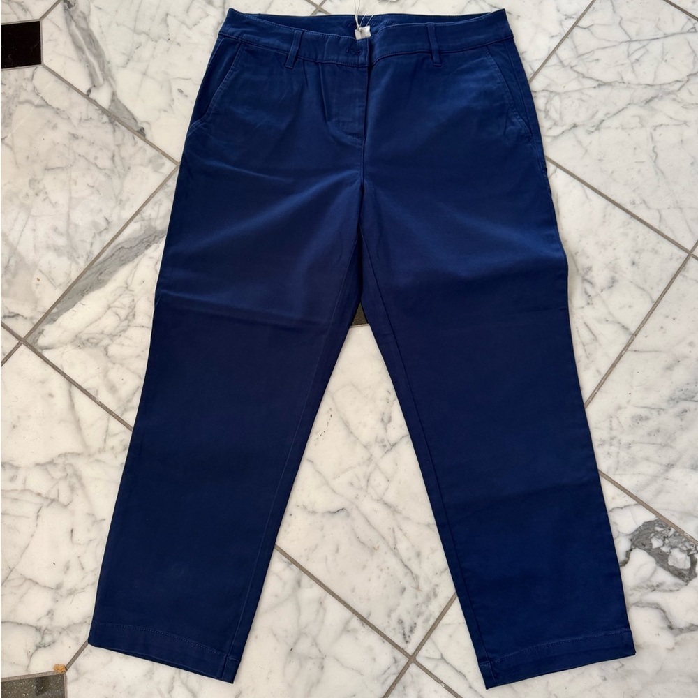Tommy Bahama Borclay Crop Pants  Size 8  NWT